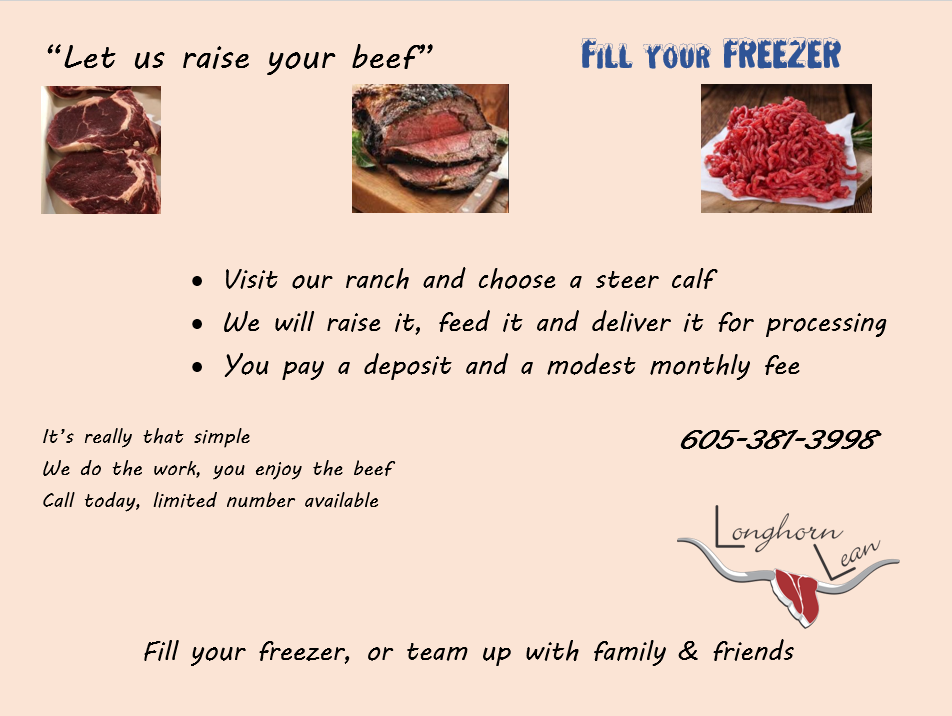 Beef For Sale at Holy Cow Ranch Longhorns in South Dakota